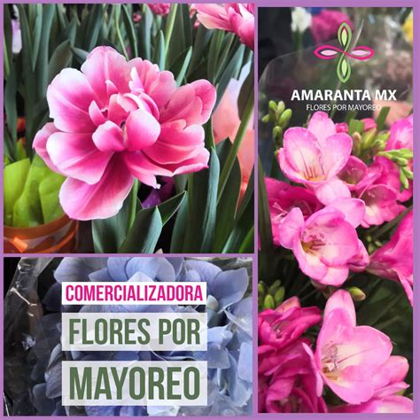 flores por mayoreo en mexico.